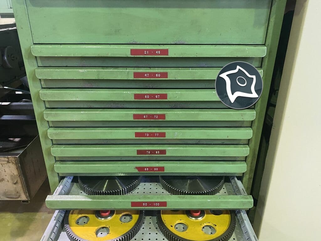 Зубофрезерный вертикальный станок WMW MODUL ZFWZ 250-3-ID15003